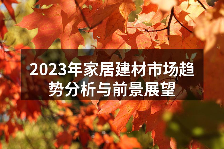 2023年家居建材市场趋势分析与前景展望